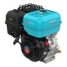 Бензиновый двигатель ALTECO GB 270-25